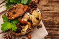 Зібрали гриби на продаж: де можна торгувати і за що штрафують Фото:Depositphotos