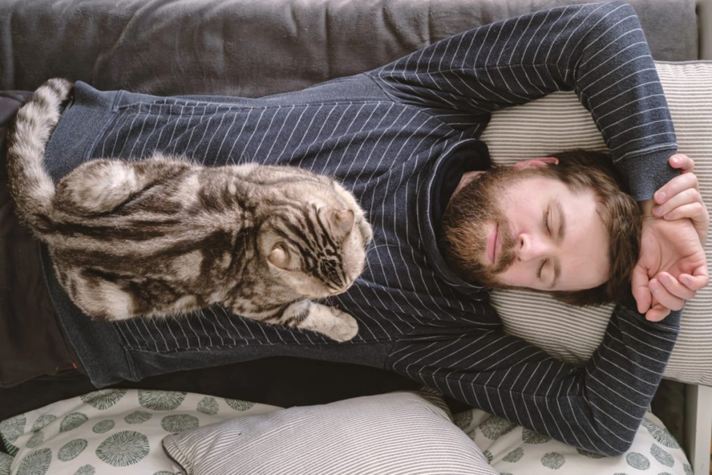 чоловік, сон, котик